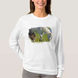IJslandse paarden in westelijk IJsland. T-shirt