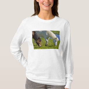 IJslandse paarden in westelijk IJsland. T-shirt