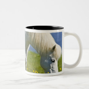 IJslandse paarden in westelijk IJsland. Tweekleurige Koffiemok