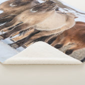 IJslandse paarden in Winter nabij Hofn, IJsland Sherpa Deken (3/4)