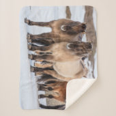 IJslandse paarden in Winter nabij Hofn, IJsland Sherpa Deken (Voorkant)