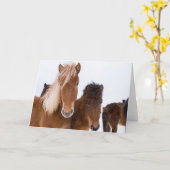 IJslandse paarden Kaart (Gele Bloem)