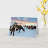 IJslandse paarden Kaart (Gele Bloem)