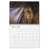 IJslandse paarden Kalender (Feb 2027)