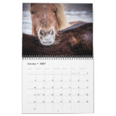 IJslandse paarden Kalender (Jan 2027)