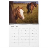 IJslandse paarden Kalender (Mar 2027)