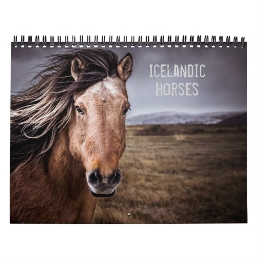 IJslandse paarden Kalender (Hoes)