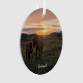 IJslandse paarden - keramische siervoorwerpen Ornament (voorkant)