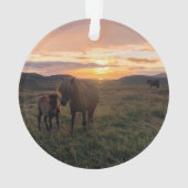IJslandse paarden - keramische siervoorwerpen Ornament (achterkant)