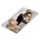 IJslandse paarden Magneet (Linkerzijde)