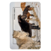 IJslandse paarden Magneet (Verticaal)