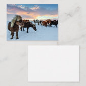 IJslandse paarden Notitiekaartje (Voorkant / Achterkant)