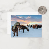 IJslandse paarden Notitiekaartje (Voorkant / Achterkant in situ)