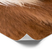 IJslandse paarden Poster (Hoek)