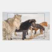 IJslandse paarden Rechthoekige Sticker (Voorkant)