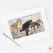IJslandse paarden Rechthoekige Sticker (Envelop)