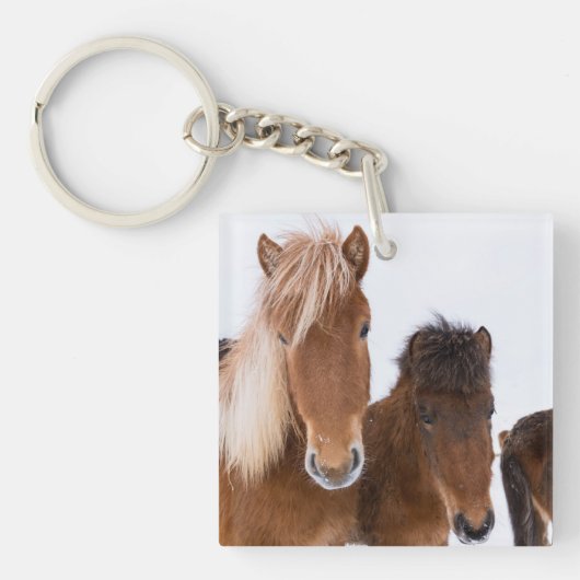 IJslandse paarden Sleutelhanger (Voorkant)