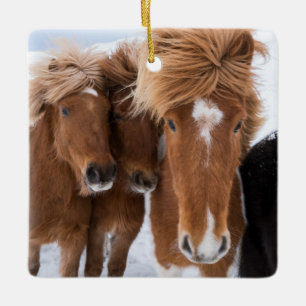 IJslandse paarden snuffelen, IJsland Keramisch Ornament