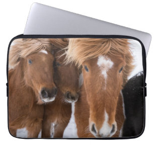 IJslandse paarden snuffelen, IJsland Laptop Sleeve