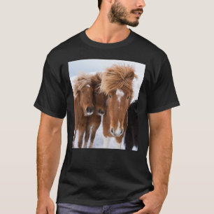 IJslandse paarden snuffelen, IJsland T-shirt