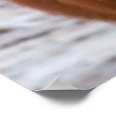 IJslandse paarden tijdens de winter 2 Poster (Hoek)