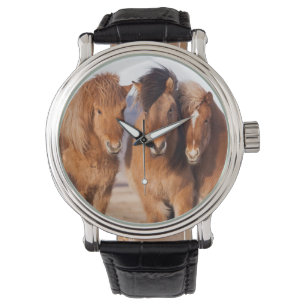 IJslandse paarden tijdens de winter Horloge