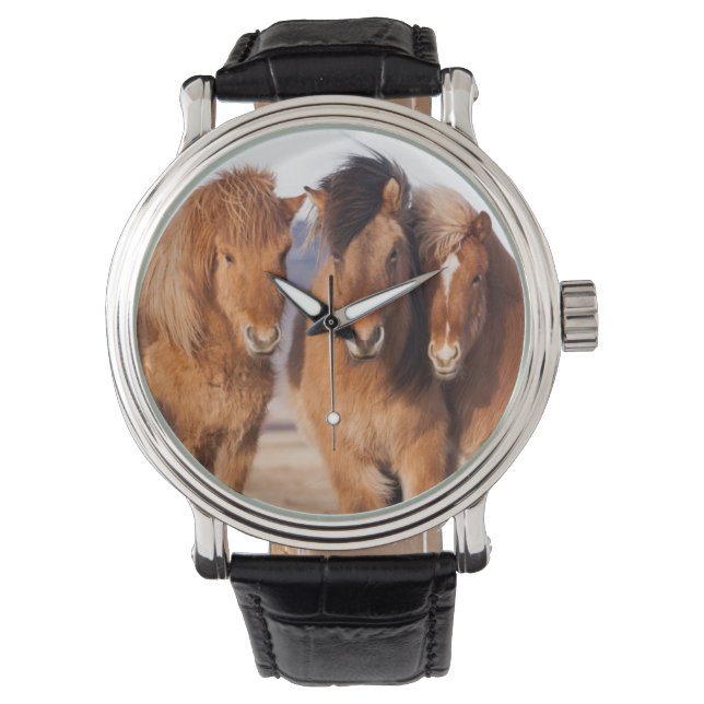 IJslandse paarden tijdens de winter Horloge (Voorkant)