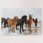 IJslandse paarden tijdens de winter in IJsland Legpuzzel (Horizontaal)