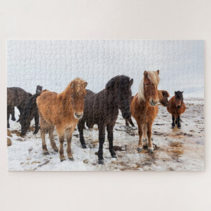 IJslandse paarden tijdens de winter in IJsland Legpuzzel