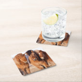 IJslandse paarden tijdens de winter Kartonnen Onderzetters (Insitu)