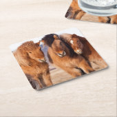 IJslandse paarden tijdens de winter Kartonnen Onderzetters (Schuin)