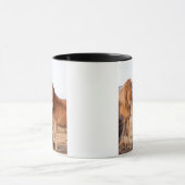 IJslandse paarden tijdens de winter Mok (Midden)