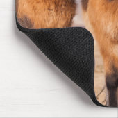 IJslandse paarden tijdens de winter Muismat (Hoek)