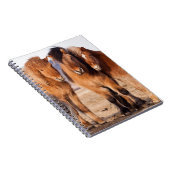 IJslandse paarden tijdens de winter Notitieboek (Rechterzijde)