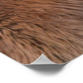 IJslandse paarden tijdens de winter op IJsland 2 Poster (Hoek)