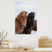 IJslandse paarden tijdens de winter op IJsland 2 Poster (Keuken)