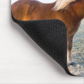 IJslandse paarden tijdens de winter op IJsland Muismat (Hoek)