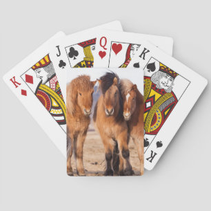 IJslandse paarden tijdens de winter Pokerkaarten