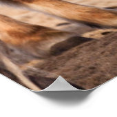 IJslandse paarden tijdens de winter Poster (Hoek)