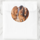 IJslandse paarden tijdens de winter Ronde Sticker (Tas)