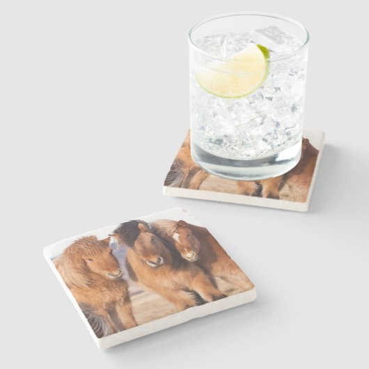 IJslandse paarden tijdens de winter Stenen Onderzetter (Zijkant)