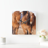 IJslandse paarden tijdens de winter Vierkante Klok (Huis)