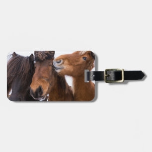 IJslandse paarden vrienden, IJsland Bagagelabel