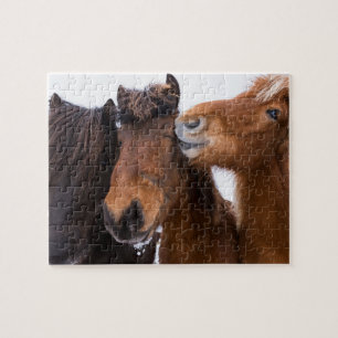 IJslandse paarden vrienden, IJsland Legpuzzel