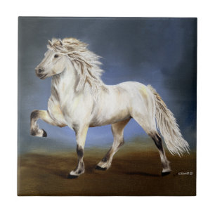 IJslandse Paardenadel Tegeltje