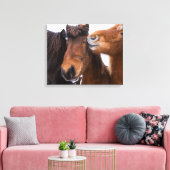 IJslandse paardenvrienden Canvas Afdruk (Insitu (Woonkamer))