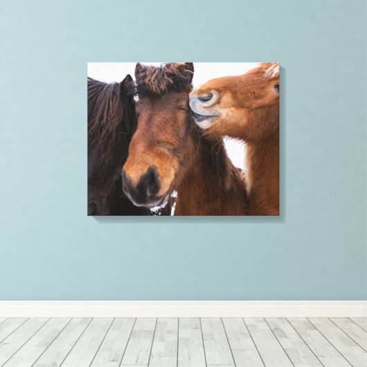 IJslandse paardenvrienden Canvas Afdruk (Insitu (Houten vloer))