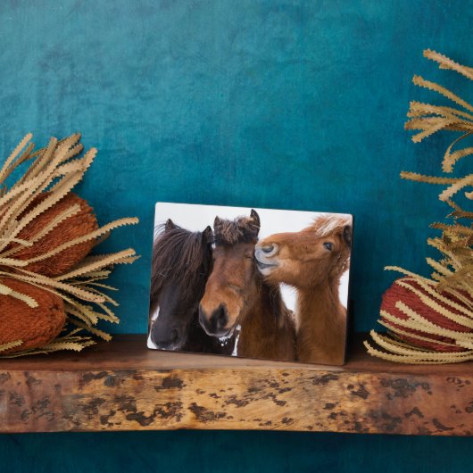 IJslandse paardenvrienden Fotoplaat (Zijkant)