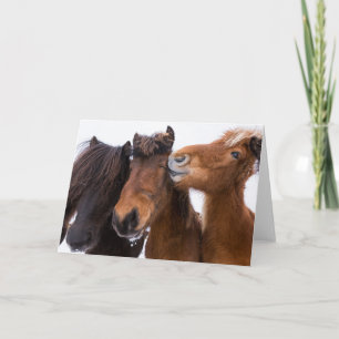 IJslandse Paardenvrienden, IJsland Kaart