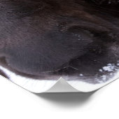 IJslandse paardenvrienden Poster (Hoek)